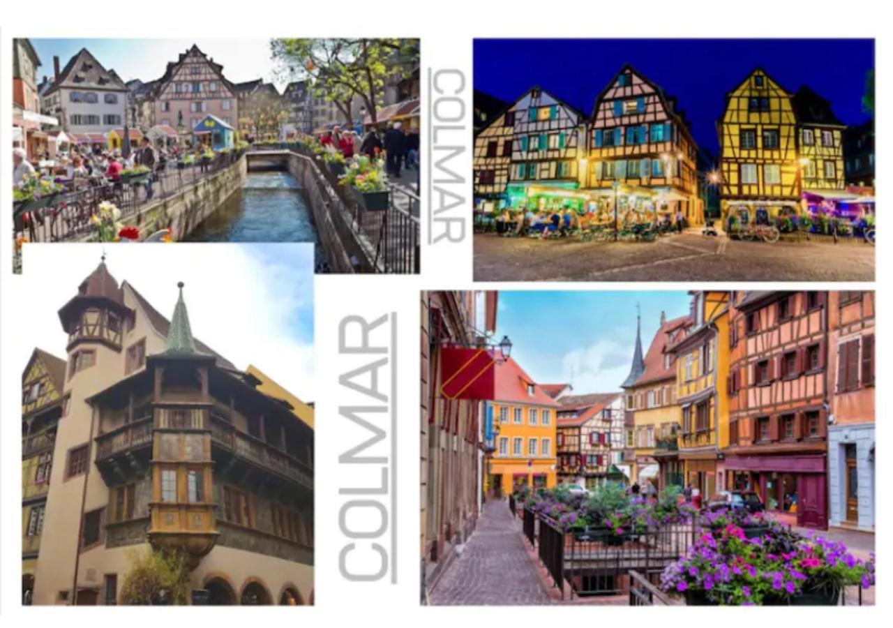 Thann Colmar - 1 Chambre - 5 Pers - Parking Dış mekan fotoğraf