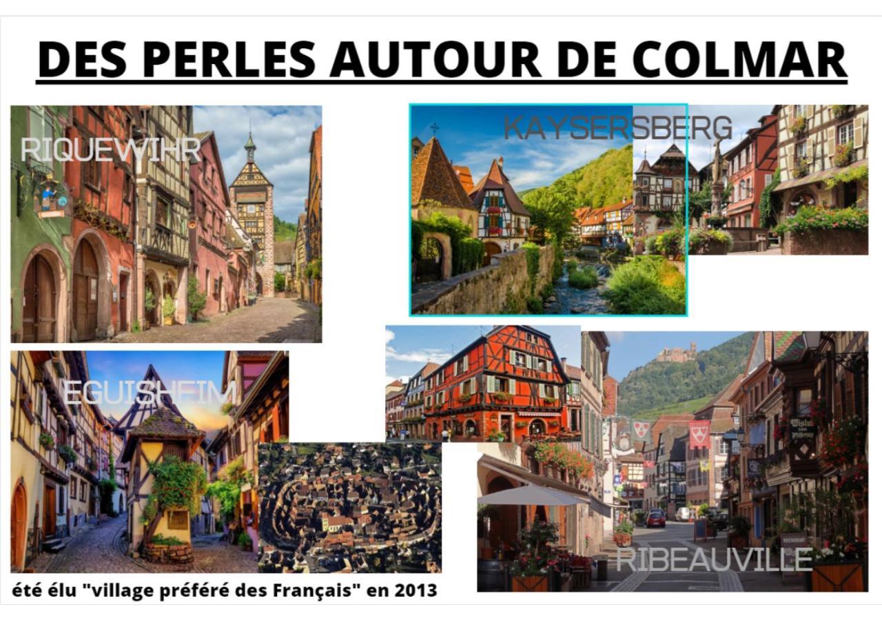 Thann Colmar - 1 Chambre - 5 Pers - Parking Dış mekan fotoğraf